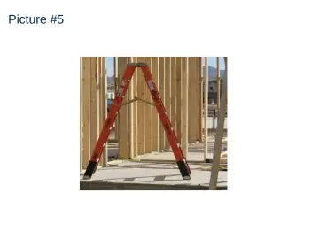 Slide 49: Picture #5