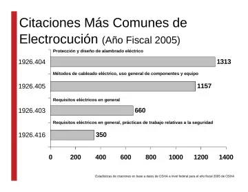 Slide 17: Citaciones Más Comunes de Electrocución (Año Fiscal 2005)