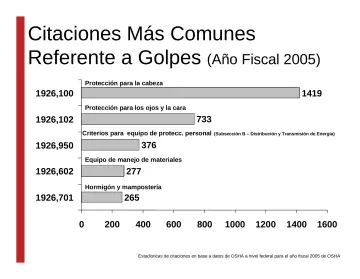 Slide 18: Citaciones Más Comunes Referente a Golpes (Año Fiscal 2005)