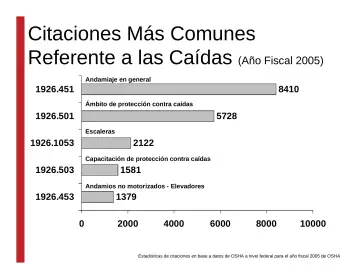 Slide 20: Citaciones Más Comunes Referente a las Caídas (Año Fiscal 2005)