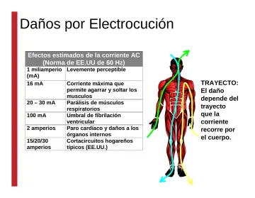 Slide 25: Daños por Electrocución