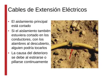 Slide 31: Cables de Extensión Eléctricos