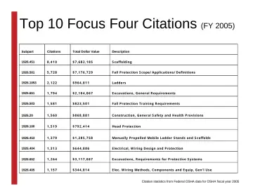 Slide 16: Top 10 Focus Four Citations (FY 2005)