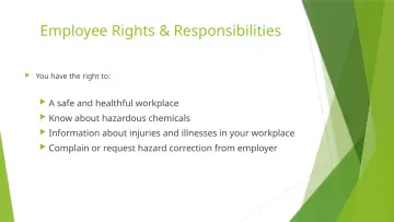 Slide 41: Employee Rights & Responsibilities