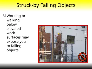 Slide 10: Struck-by Falling Objects