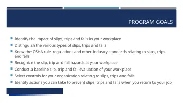 Slide 5: PROGRAM GOALS