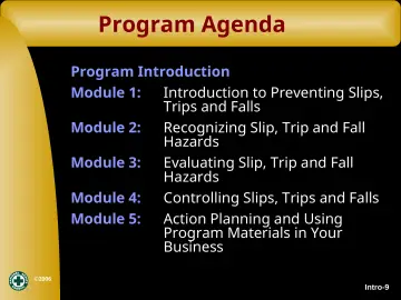 Slide 9: Program Agenda