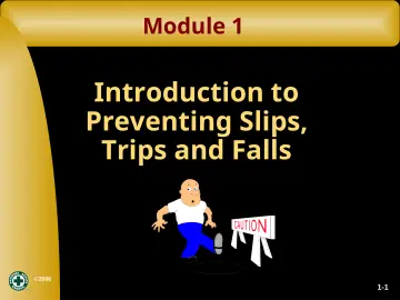 Slide 10: Module 1