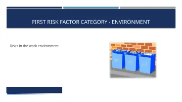 Slide 4: FIRST RISK FACTOR CATEGORY - ENVIRONMENT