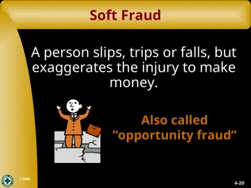 Slide 20: Soft Fraud
