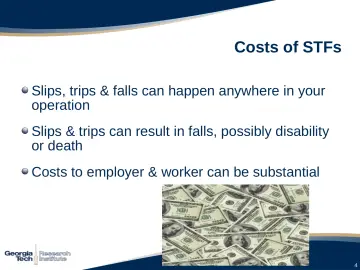 Slide 4: Costs of STFs