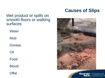 Slide 13: Causes of Slips