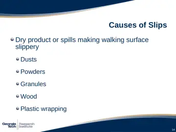 Slide 14: Causes of Slips