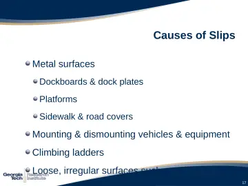 Slide 17: Causes of Slips