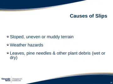 Slide 18: Causes of Slips