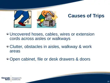 Slide 19: Causes of Trips