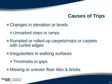 Slide 20: Causes of Trips
