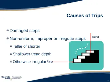 Slide 21: Causes of Trips