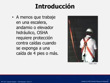 Slide 4: Introducción