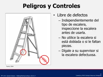 Slide 20: Libre de defectos
