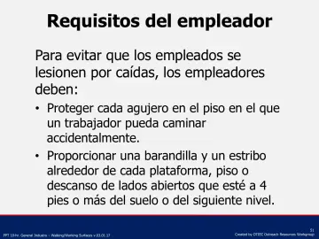 Slide 51: Requisitos del empleador