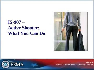 Slide 1: IS-907 –