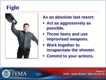 Slide 17: Fight